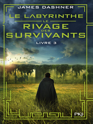 cover image of Le Labyrinthe: Le rivage des survivants, Tome 3